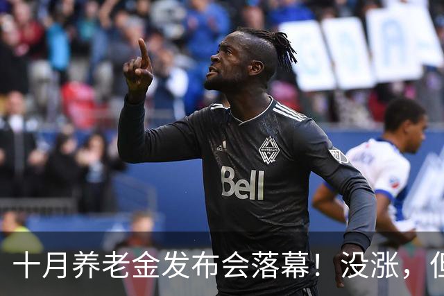 十月养老金发布会落幕！没涨，但传来一个好消息