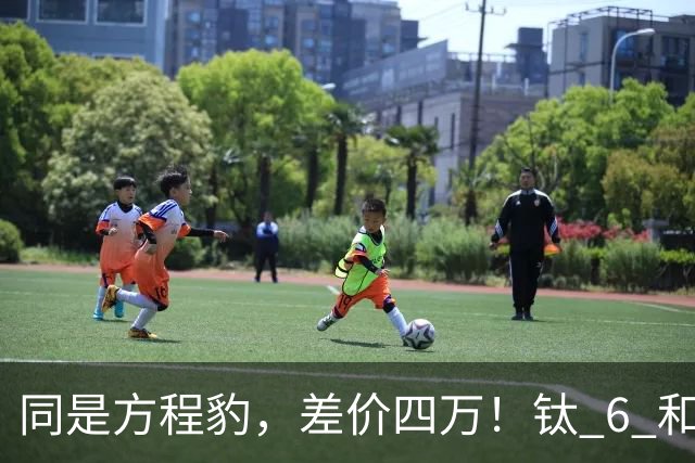 同是方程豹，差价四万！钛 6 和钛 7，到底贵在哪？