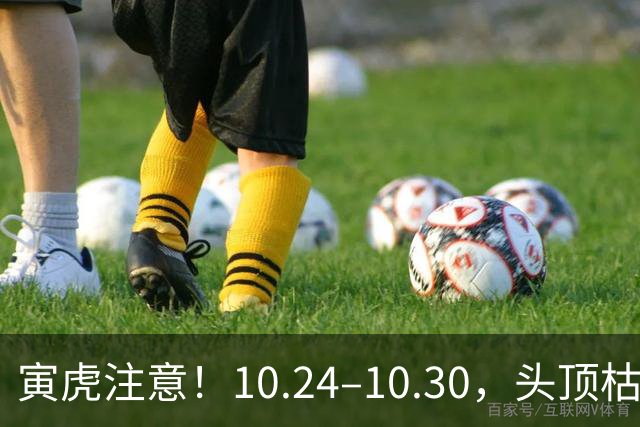 寅虎注意！10.24–10.30，头顶枯藤将断，有贵人伸手拉你一把