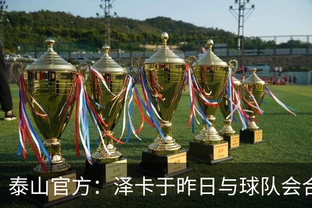 泰山官方：泽卡于昨日与球队会合 唐创下午报到