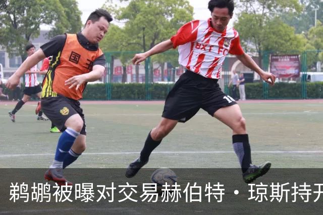 鹈鹕被曝对交易赫伯特·琼斯持开放态度，Stein辟谣：没这意愿